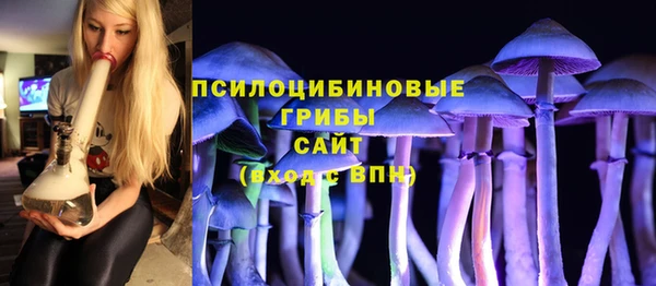 2c-b Богданович