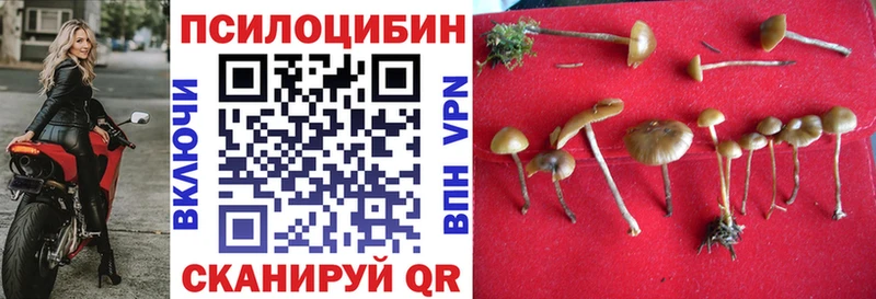 ОМГ ОМГ ссылка Киреевск Псилоцибиновые грибы Cubensis как найти наркотики